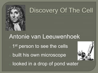 Discovery Of The CellAntonie van Leeuwenhoek1st person to see the cells