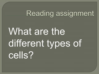 Other techniquesDifferential Interference – enhance density differencesPhase contrast – some regions appear brighter or darkerDark-field – light is scattered by the specimen