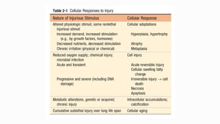 Anatomy of CELLULAR CHANGES AND ADAPTATIONS.ppt