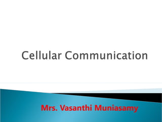Mrs. Vasanthi Muniasamy

 