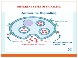 Cellular Communication and regulation of communication mechanisms to ...