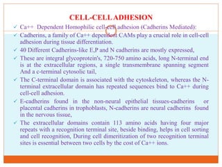 Cellular Communication and regulation of communication mechanisms to ...