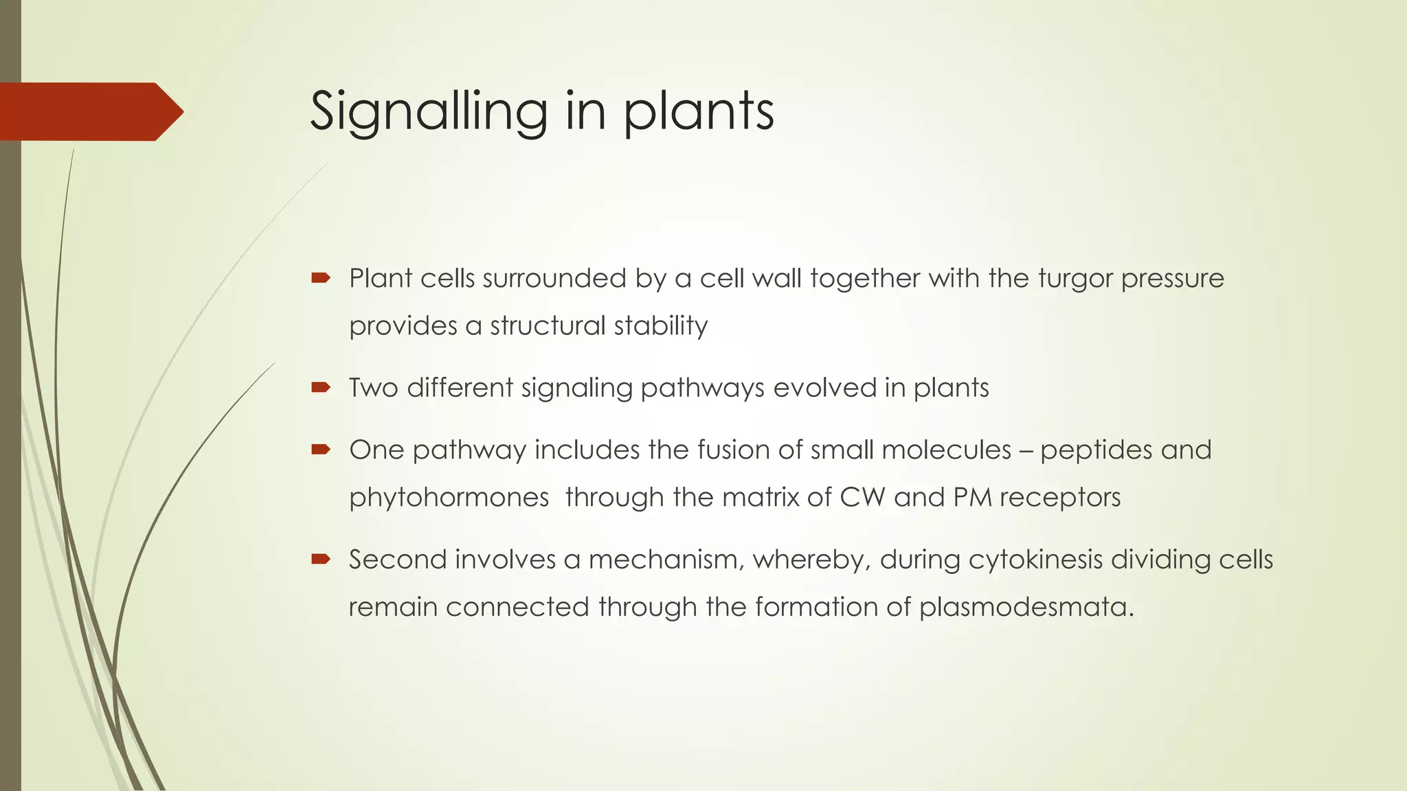 Signalling in plants
 Plant cells surrounded by a cell wall together with the turgor pressure
provides a structural stability
 Two different signaling pathways evolved in plants
 One pathway includes the fusion of small molecules – peptides and
phytohormones through the matrix of CW and PM receptors
 Second involves a mechanism, whereby, during cytokinesis dividing cells
remain connected through the formation of plasmodesmata.
 