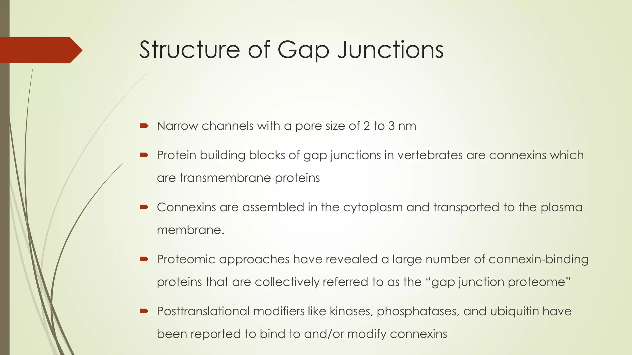 Structure of Gap Junctions
 Narrow channels with a pore size of 2 to 3 nm
 Protein building blocks of gap junctions in vertebrates are connexins which
are transmembrane proteins
 Connexins are assembled in the cytoplasm and transported to the plasma
membrane.
 Proteomic approaches have revealed a large number of connexin-binding
proteins that are collectively referred to as the “gap junction proteome”
 Posttranslational modifiers like kinases, phosphatases, and ubiquitin have
been reported to bind to and/or modify connexins
 