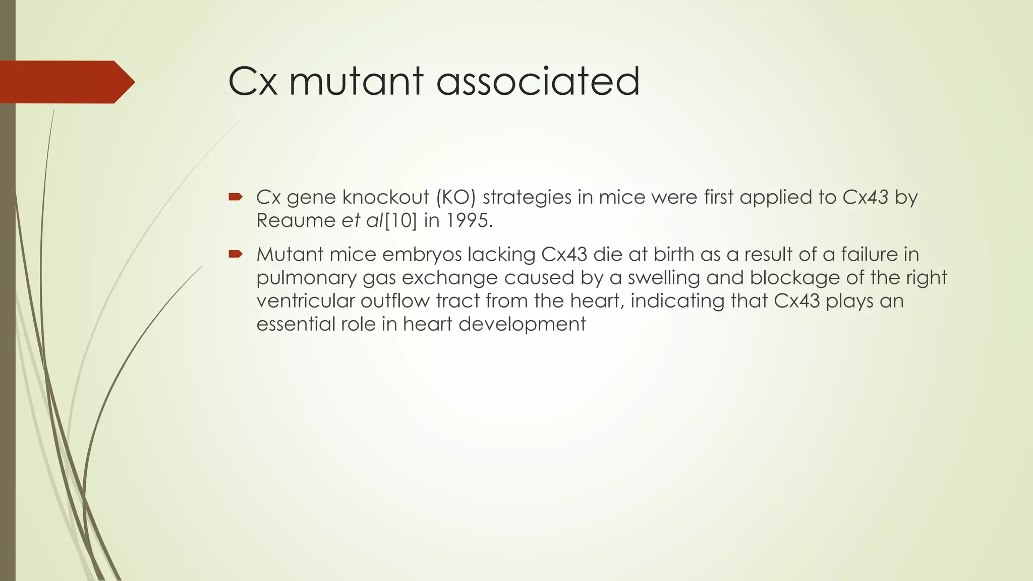 Cx mutant associated
 Cx gene knockout (KO) strategies in mice were first applied to Cx43 by
Reaume et al[10] in 1995.
 Mutant mice embryos lacking Cx43 die at birth as a result of a failure in
pulmonary gas exchange caused by a swelling and blockage of the right
ventricular outflow tract from the heart, indicating that Cx43 plays an
essential role in heart development
 