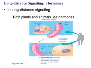 Cellular Communication lecture for the school of nursing | PPT