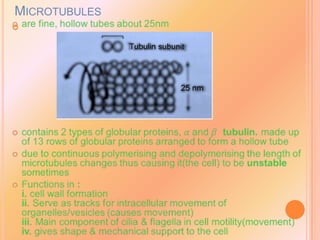 MICROTUBULES

 
