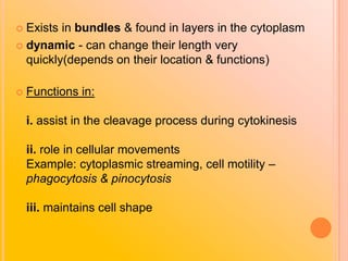 Exists in bundles & found in layers in the cytoplasm
 dynamic - can change their length very
quickly(depends on their location & functions)
 Functions in:
i. assist in the cleavage process during cytokinesis
ii. role in cellular movements
Example: cytoplasmic streaming, cell motility –
phagocytosis & pinocytosis
iii. maintains cell shape
 