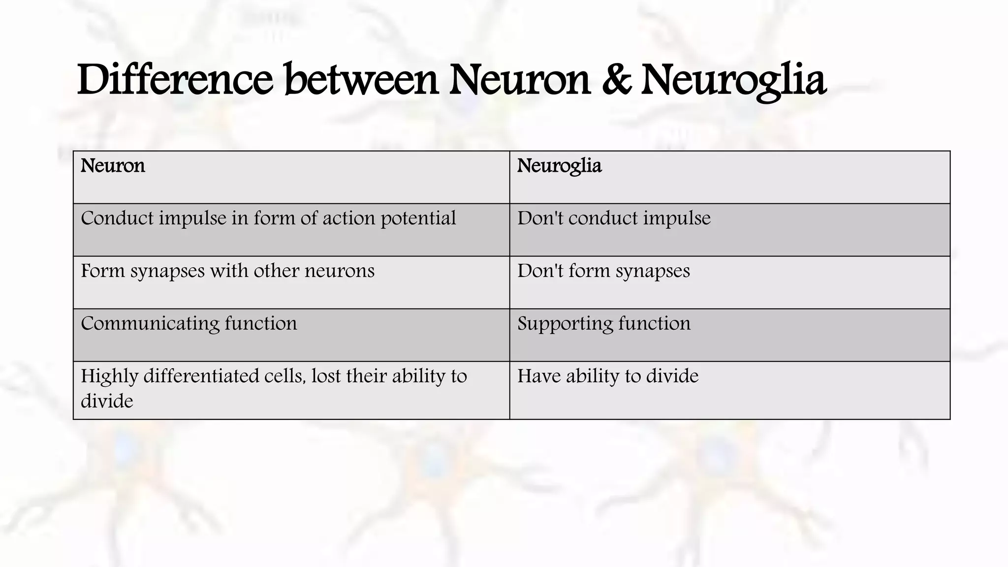 Cells of the Nervous System- Glial cells I Macroglia and Microglia I ...