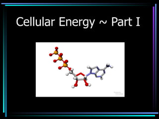 Cellular Energy ~ Part I 