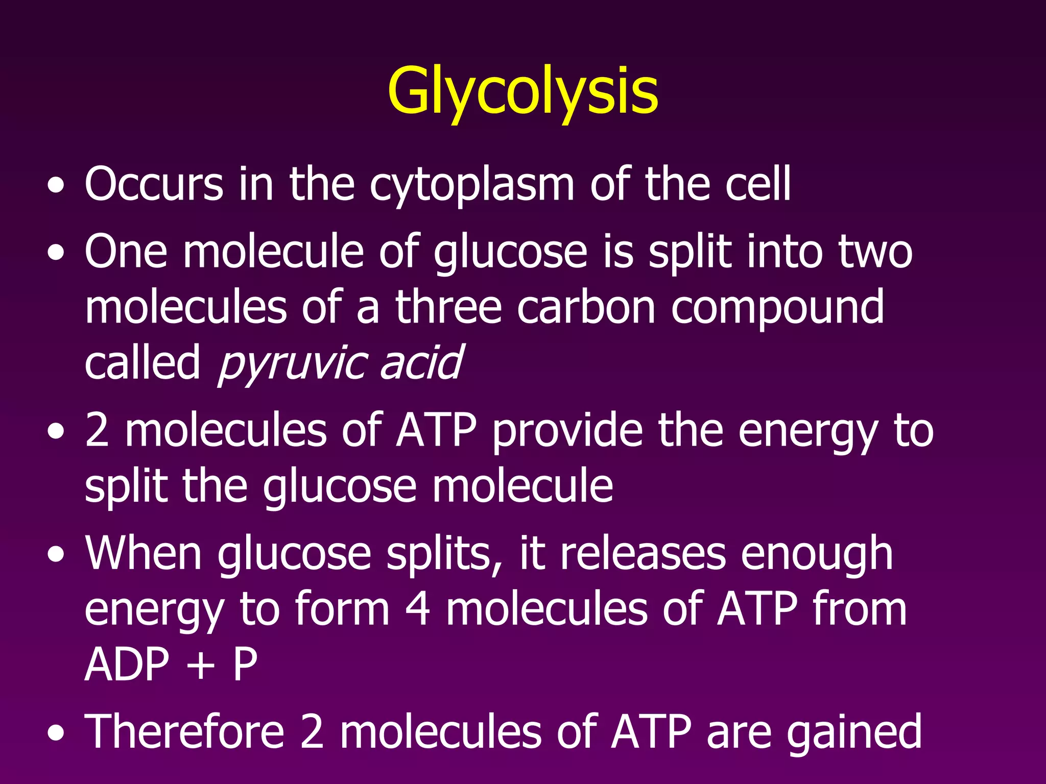 Glycolysis Occurs in the cytoplasm of the cell One molecule of glucose is split into two molecules of a three carbon compound called  pyruvic acid 2 molecules of ATP provide the energy to split the glucose molecule When glucose splits, it releases enough energy to form 4 molecules of ATP from ADP + P Therefore 2 molecules of ATP are gained 