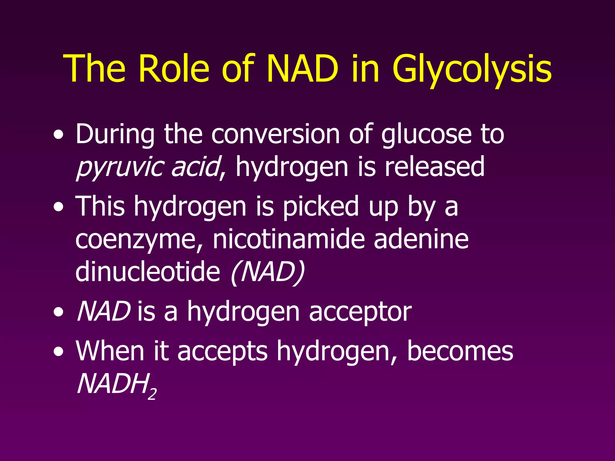 The Role of NAD in Glycolysis During the conversion of glucose to  pyruvic acid , hydrogen is released This hydrogen is picked up by a coenzyme, nicotinamide adenine dinucleotide  (NAD) NAD  is a hydrogen acceptor When it accepts hydrogen, becomes  NADH 2 
