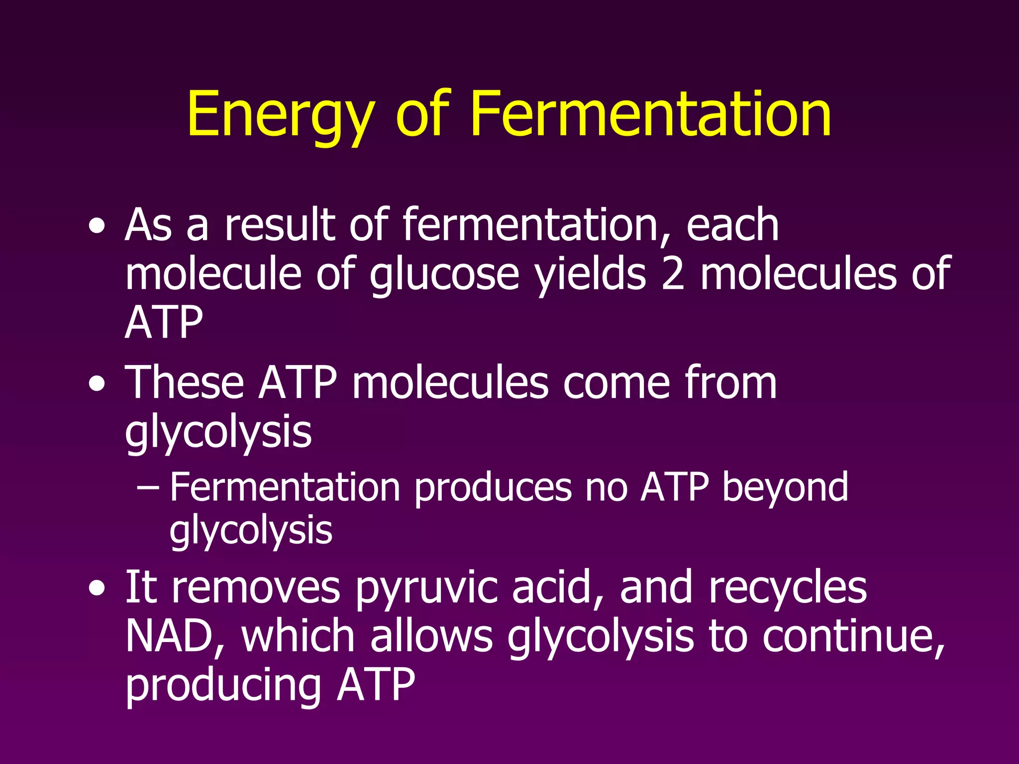 Energy of Fermentation As a result of fermentation, each molecule of glucose yields 2 molecules of ATP   These ATP molecules come from glycolysis Fermentation produces no ATP beyond glycolysis It removes pyruvic acid, and recycles NAD, which allows glycolysis to continue, producing ATP 