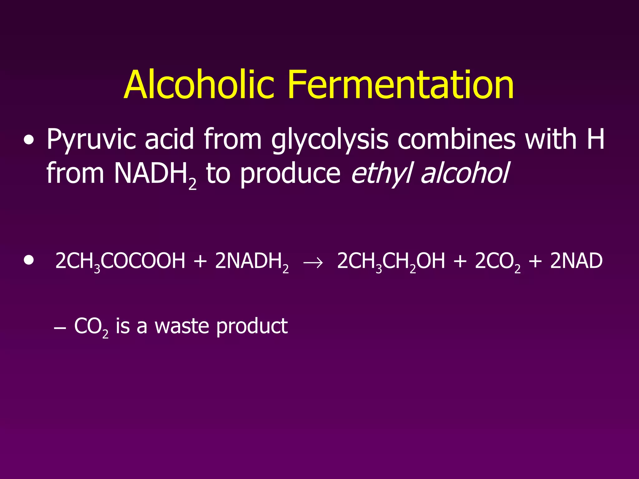 Alcoholic Fermentation Pyruvic acid from glycolysis combines with H from NADH 2  to produce  ethyl alcohol   2CH 3 COCOOH + 2NADH 2      2CH 3 CH 2 OH + 2CO 2  + 2NAD CO 2  is a waste product 