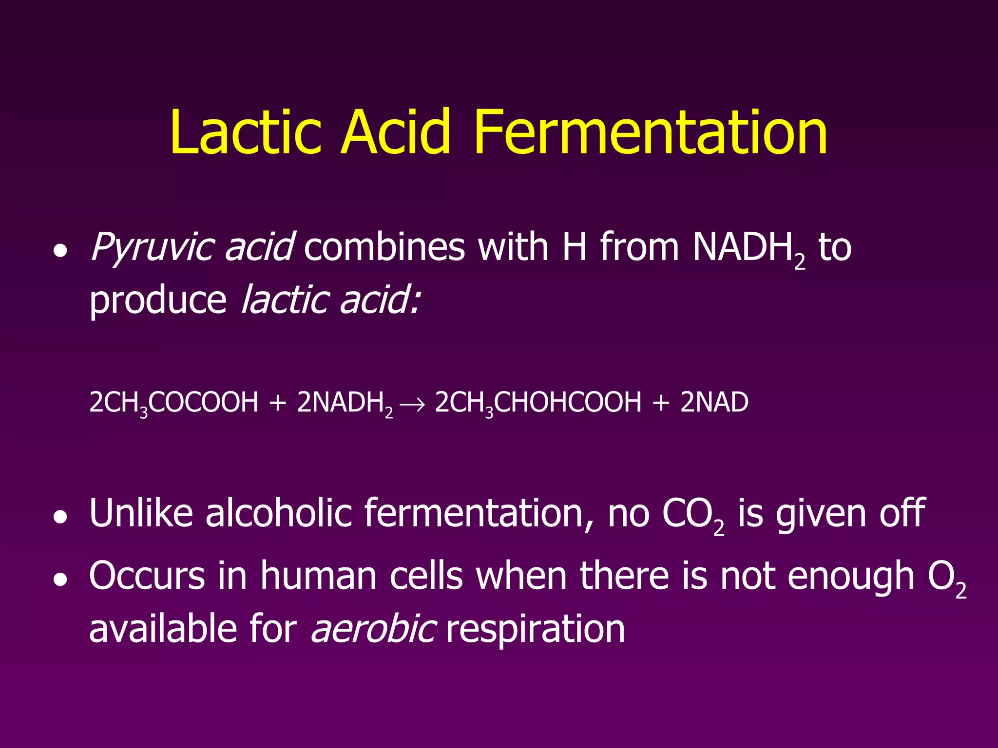 Lactic Acid Fermentation Pyruvic acid  combines with H from NADH 2  to produce  lactic acid: 2CH 3 COCOOH + 2NADH 2    2CH 3 CHOHCOOH + 2NAD Unlike alcoholic fermentation, no CO 2  is given off  Occurs in human cells when there is not enough O 2  available for  aerobic  respiration 