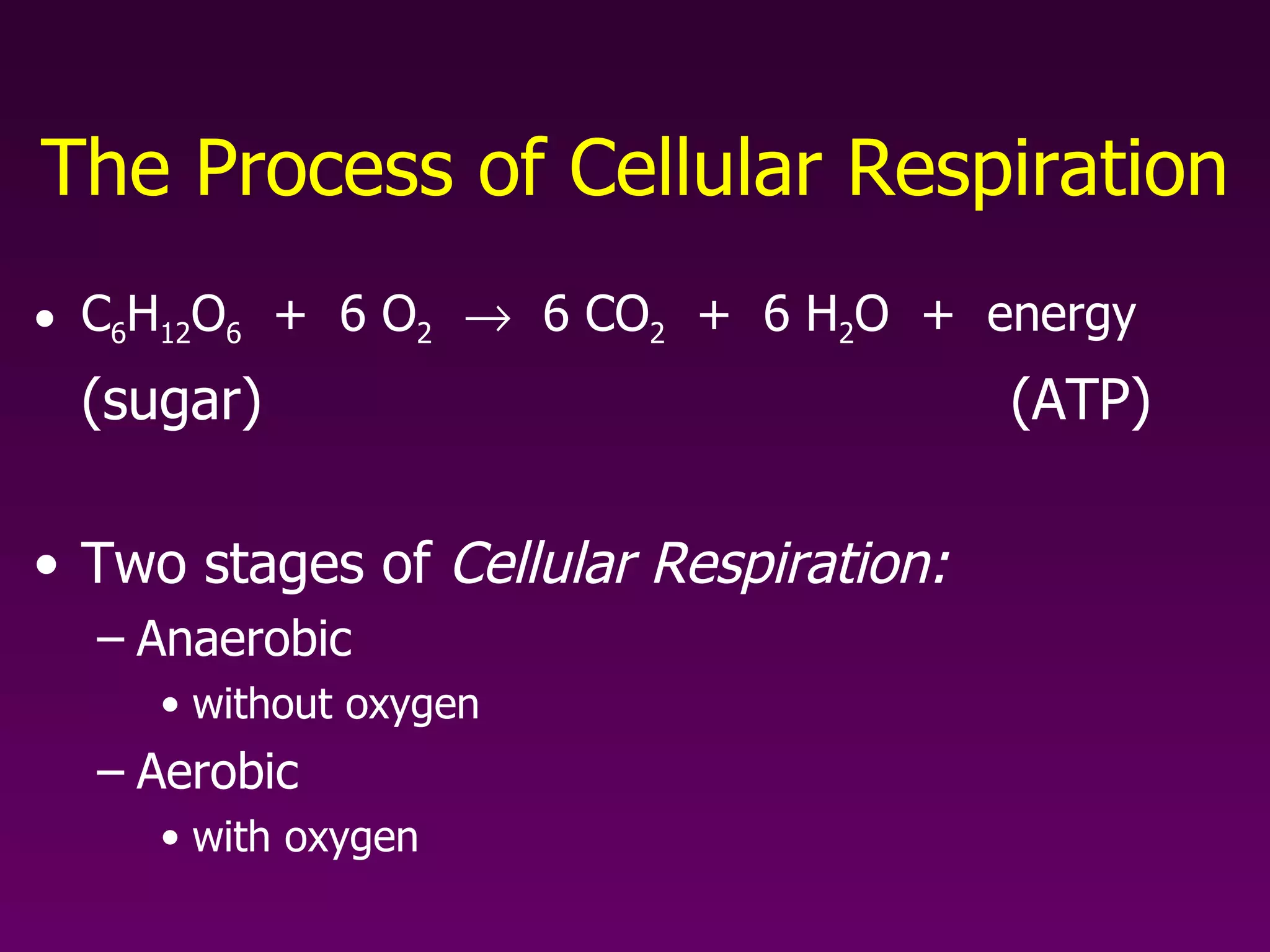 The Process of Cellular Respiration C 6 H 12 O 6   +  6 O 2      6 CO 2   +  6 H 2 O  +  energy (sugar)   (ATP) Two stages of  Cellular Respiration: Anaerobic  without oxygen Aerobic  with oxygen 