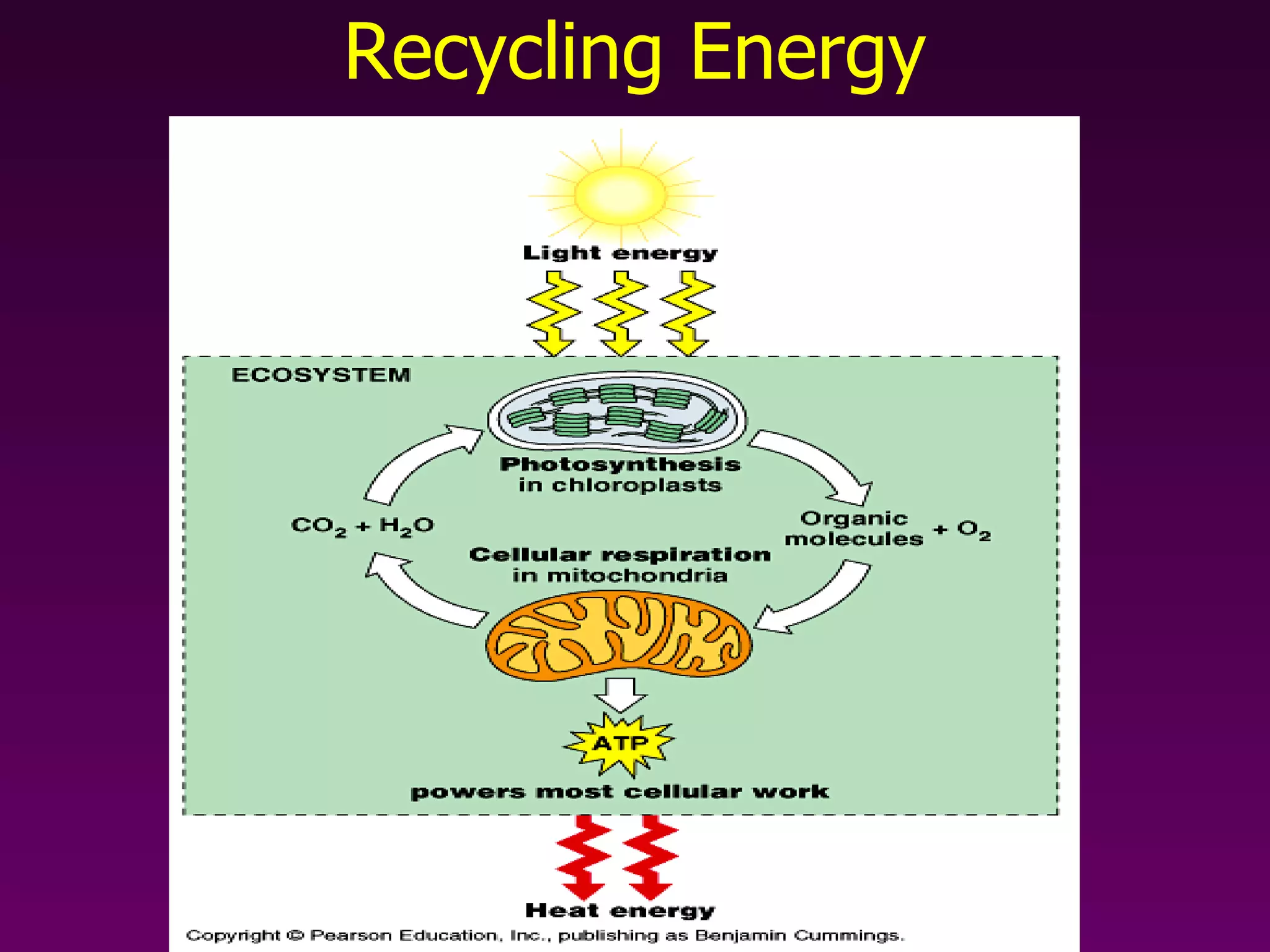 Recycling Energy 