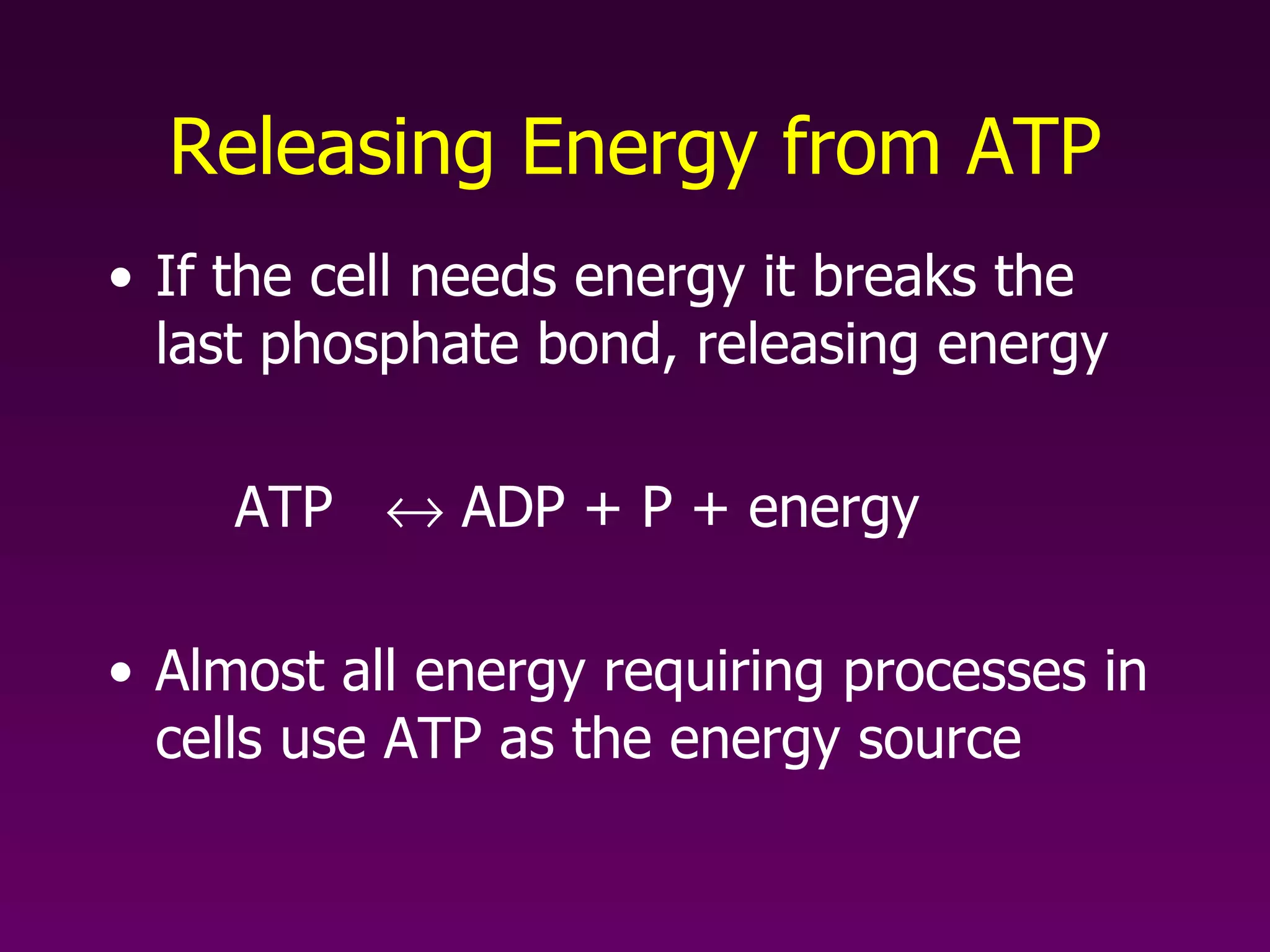 Releasing Energy from ATP If the cell needs energy it breaks the last phosphate bond, releasing energy ATP    ADP + P + energy Almost all energy requiring processes in cells use ATP as the energy source 