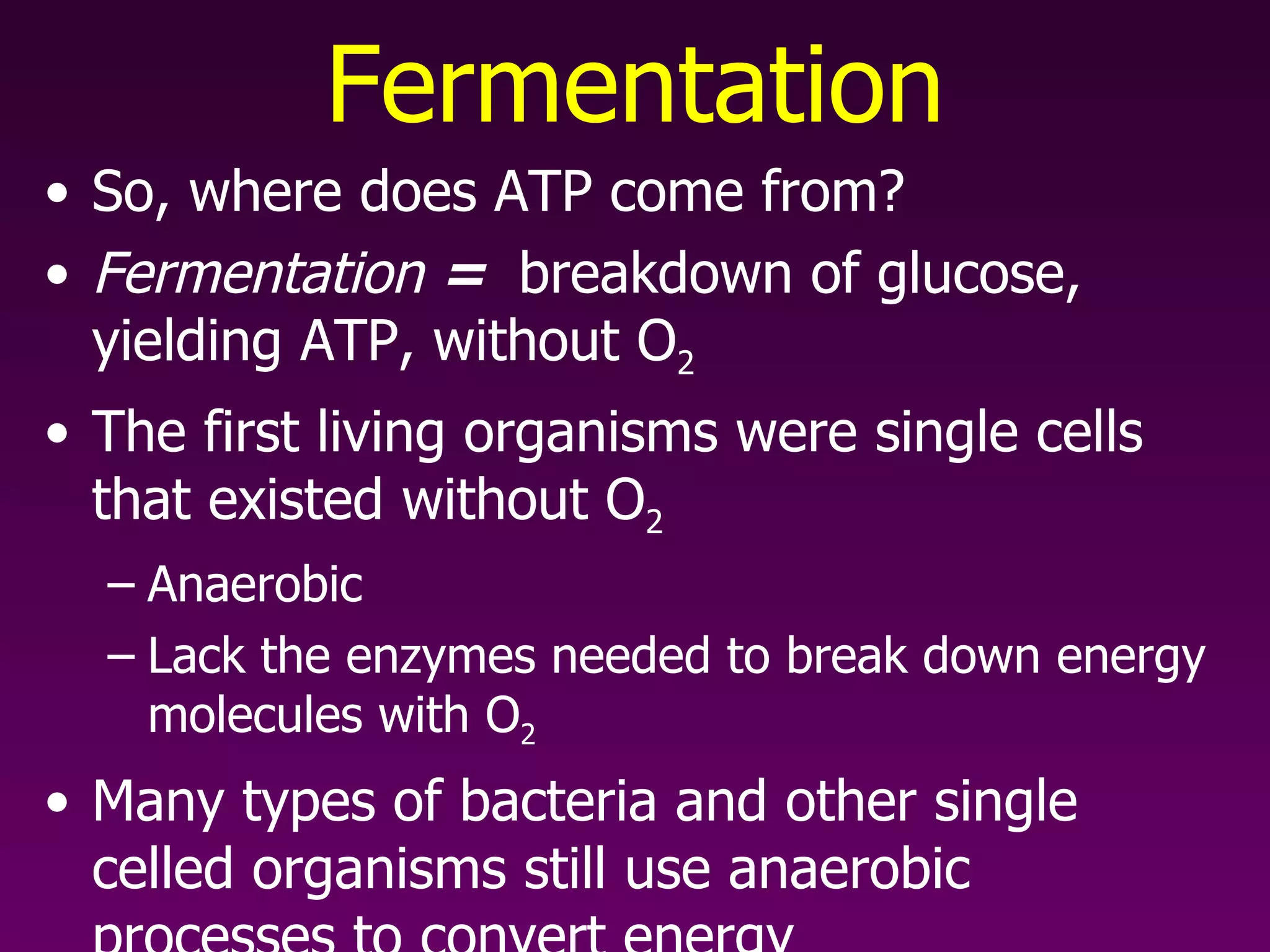 Fermentation So, where does ATP come from? Fermentation  =  breakdown of glucose, yielding ATP, without O 2   The first living organisms were single cells that existed without O 2 Anaerobic Lack the enzymes needed to break down energy molecules with O 2 Many types of bacteria and other single celled organisms still use anaerobic processes to convert energy 