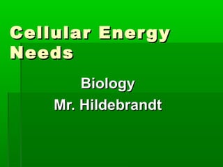 Cellular Ener g y
Needs
        Biology
    Mr. Hildebrandt
 