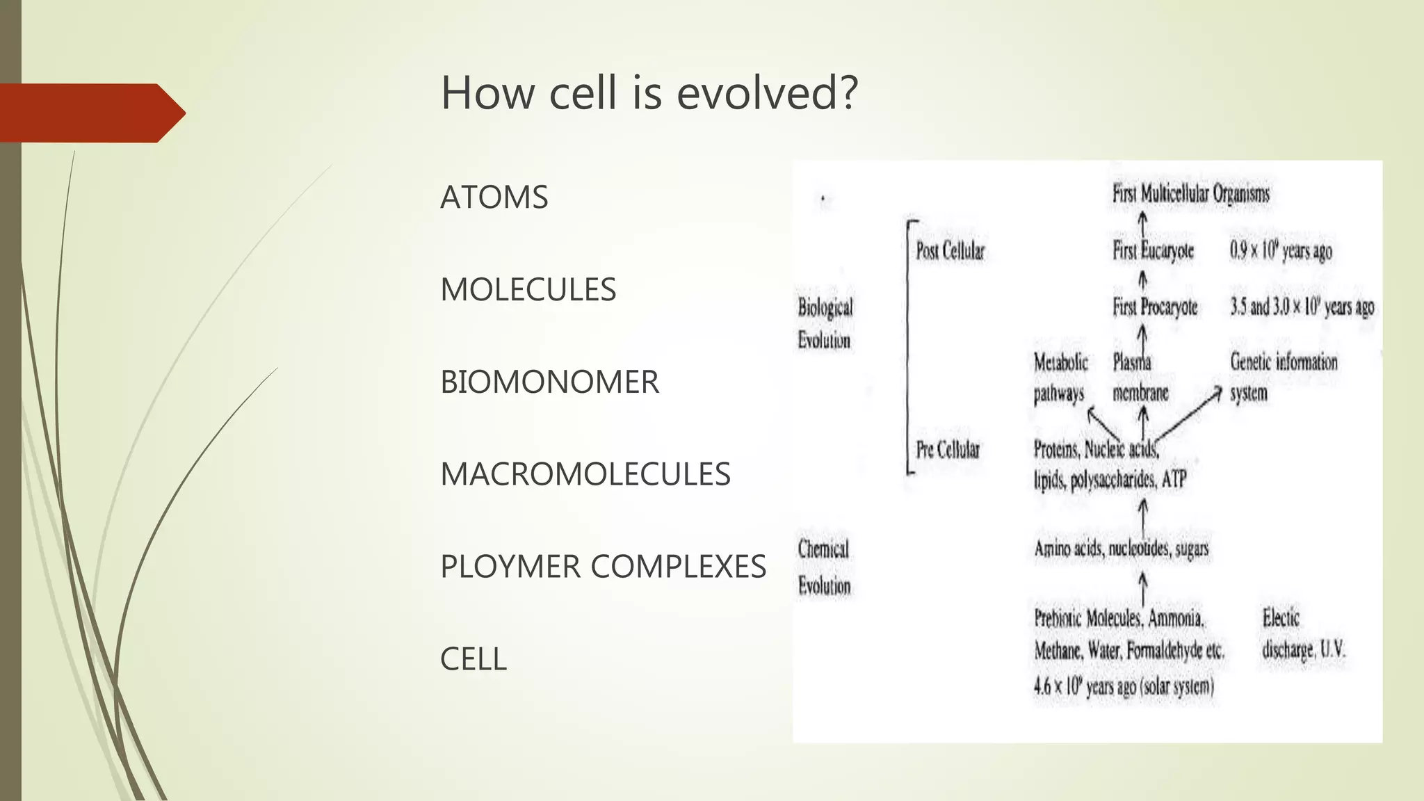 How cell is evolved?
ATOMS
MOLECULES
BIOMONOMER
MACROMOLECULES
PLOYMER COMPLEXES
CELL
 