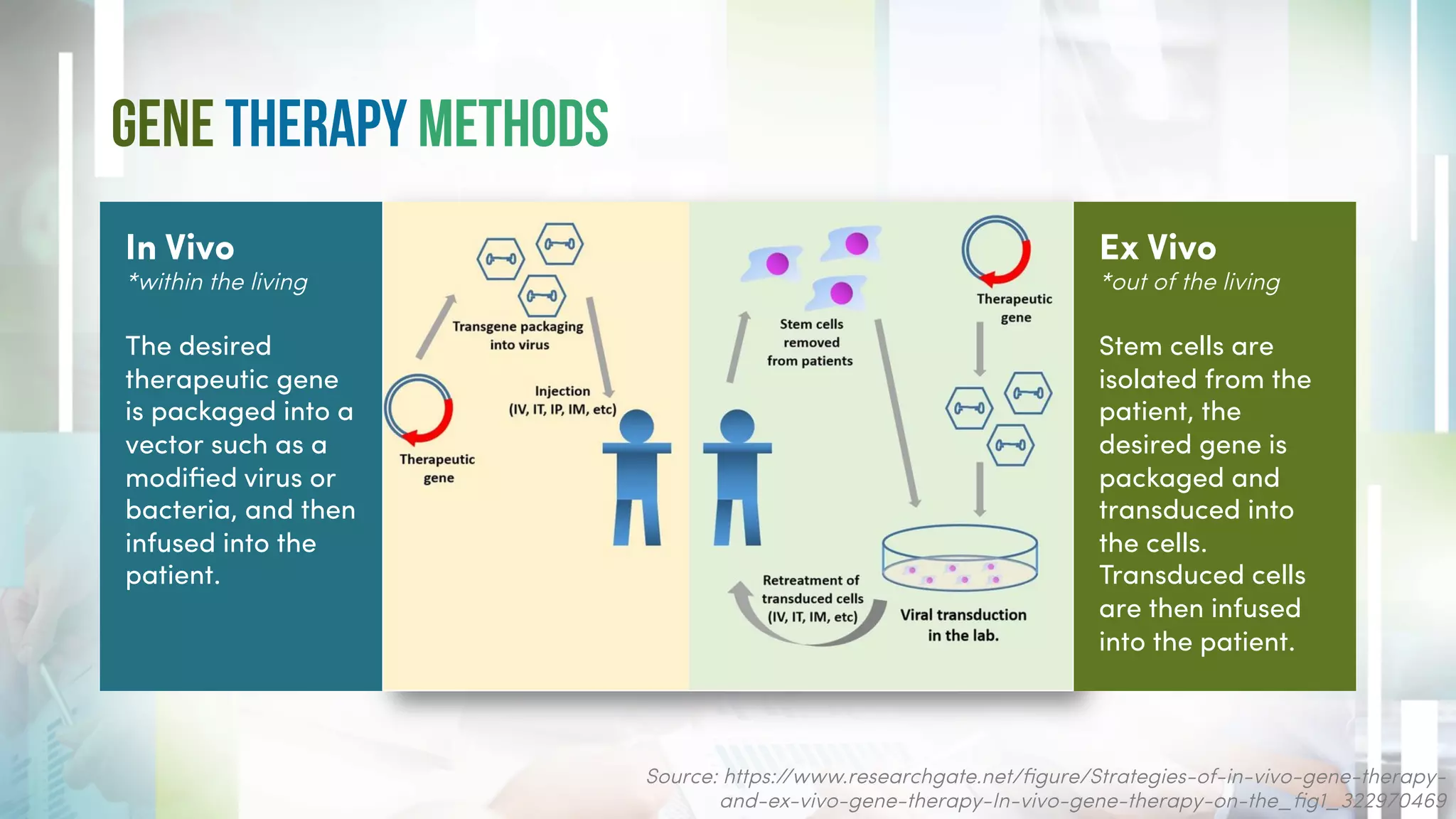 What Is Gene Therapy Pdf | Gene Therapy Journal – BYZOK