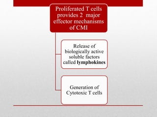 Proliferated T cells
provides 2 major
effector mechanisms
of CMI
Release of
biologically active
soluble factors
called lymphokines
Generation of
Cytotoxic T cells
 
