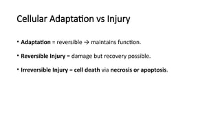 Comprehensive Overview of Cellular Injury, Adaptation, and Death ...