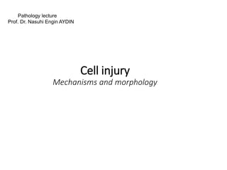 Cell injury
Mechanisms and morphology
Pathology lecture
Prof. Dr. Nasuhi Engin AYDIN
 