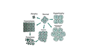 Cellular Damage Powerpoint Icon cellular injury.pptx