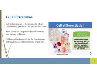 study of cellular level of organization. | PDF