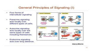 cellular level of organization 2.pptx