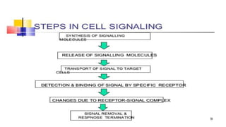 cellular level of organization 2.pptx