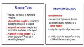 cellular level of organization 2 Anatomy physiology.pptx