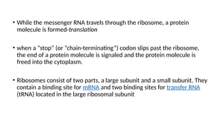 • While the messenger RNA travels through the ribosome, a protein
molecule is formed-translation
• when a “stop” (or “chain-terminating”) codon slips past the ribosome,
the end of a protein molecule is signaled and the protein molecule is
freed into the cytoplasm.
• Ribosomes consist of two parts, a large subunit and a small subunit. They
contain a binding site for mRNA and two binding sites for transfer RNA
(tRNA) located in the large ribosomal subunit
 