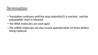 Termination
• Translation continues until the stop codon(AUG) is reached , and the
polypeptide chain is released.
• The tRNA molecules are used again
• The mRNA molecules are also reused approximately 10 times beifore
being replaced.
 