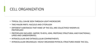 CELL ORGANIZATION
• TYPICAL CELL CAN BE SEEN THROUGH LIGHT MICROSCOPE
• TWO MAJOR PARTS: NUCLEUS AND CYTOPLASM
• DIFFERENT SUBSTANCES THAT MAKE UP THE CELL ARE COLLECTIVELY KNOWN AS
PROTOPLASM
• PROTOPLASM INCLUDES: WATER( 70-85%), IONS, PROTEINS( STRUCTURAL AND FUNCTIONAL),
LIPIDS AND CARBOHYDRATES.
• INTRACELLULAR AND EXTRACELLULAR COMPARTMENTS.
• INTRACELLULAR ORGANELLES- HIGHLY ORGANISED PHYSICAL STRUCTURES INSIDE THE CELL.
 
