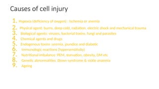 Causes of cell injury
1. Hypoxia (deficiency of oxygen) : Ischemia or anemia
2. Physical agent: burns, deep cold, radiation, electric shock and mechanical trauma
3. Biological agents: viruses, bacterial toxins, fungi and parasites
4. Chemical agents and drugs
5. Endogenous toxins :uremia, jaundice and diabetic
6. Immunologic reactions (hypersensitivity)
7. Nutritional imbalance :PEM, starvation, obesity, DM etc
8. Genetic abnormalities :Down syndrome & sickle anaemia
9. Ageing
 