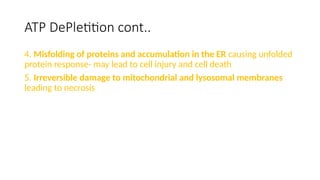 ATP DePletition cont..
4. Misfolding of proteins and accumulation in the ER causing unfolded
protein response- may lead to cell injury and cell death
5. Irreversible damage to mitochondrial and lysosomal membranes
leading to necrosis
 