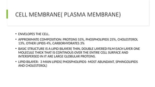 CELL MEMBRANE( PLASMA MEMBRANE)
• ENVELOPES THE CELL.
• APPROXIMATE COMPOSITION: PROTEINS 55%, PHOSPHOLIPIDS 25%, CHOLESTEROL
13%, OTHER LIPIDS 4%, CARBORHYDRATES 3%
• BASIC STRUCTURE IS A LIPID BILAYER( THIN, DOUBLE LAYERED FILM EACH LAYER ONE
MOLECULE THICK THAT IS CONTINOUS OVER THE ENTIRE CELL SURFACE AND
INTERSPERSED IN IT ARE LARGE GLOBULAR PROTEINS.
• LIPID BILAYER: 3 MAIN LIPIDS( PHOSPHOLIPIDS- MOST ABUNDANT, SPHINGOLIPIDS
AND CHOLESTEROL)
 