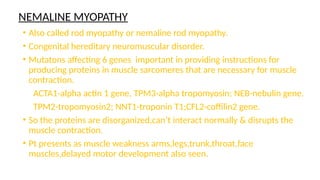 NEMALINE MYOPATHY
• Also called rod myopathy or nemaline rod myopathy.
• Congenital hereditary neuromuscular disorder.
• Mutatons affecting 6 genes important in providing instructions for
producing proteins in muscle sarcomeres that are necessary for muscle
contraction.
ACTA1-alpha actin 1 gene, TPM3-alpha tropomyosin; NEB-nebulin gene.
TPM2-tropomyosin2; NNT1-troponin T1;CFL2-coffilin2 gene.
• So the proteins are disorganized,can’t interact normally & disrupts the
muscle contraction.
• Pt presents as muscle weakness arms,legs,trunk,throat,face
muscles,delayed motor development also seen.
 