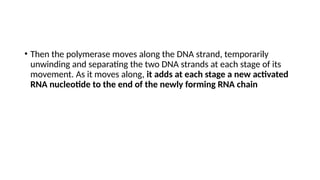 • Then the polymerase moves along the DNA strand, temporarily
unwinding and separating the two DNA strands at each stage of its
movement. As it moves along, it adds at each stage a new activated
RNA nucleotide to the end of the newly forming RNA chain
 