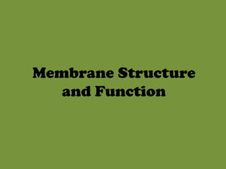 Membrane Structure and Function 