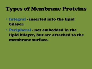 Types of Membrane ProteinsIntegral - inserted into the lipid bilayer.Peripheral - not embedded in the lipid bilayer, but are attached to the membrane surface.