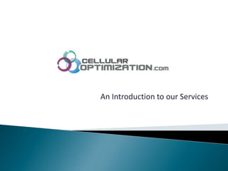 An Introduction to our Services 