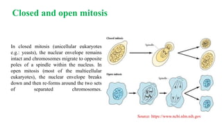 Cellular organelles nucleus, mitochondria & plastids | PPTX