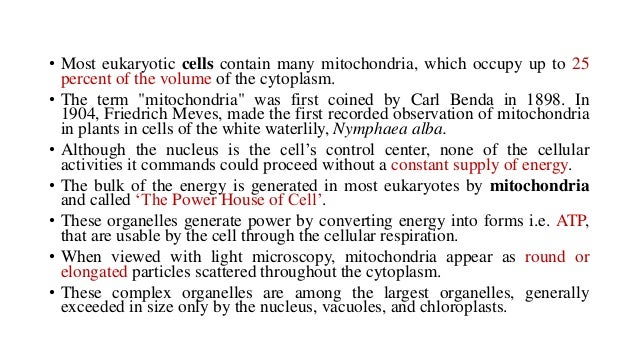 Which Organelle Generates Energy To Power Cellular Activities