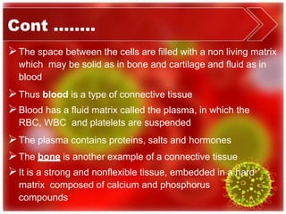 Cont ……..
The space between the cells are filled with a non living matrix
which may be solid as in bone and cartilage and fluid as in
blood
Thus blood is a type of connective tissue
Blood has a fluid matrix called the plasma, in which the
RBC, WBC and platelets are suspended
The plasma contains proteins, salts and hormones
The bone is another example of a connective tissue
It is a strong and nonflexible tissue, embedded in a hard
matrix composed of calcium and phosphorus
compounds
 