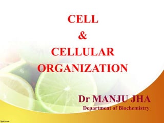 Dr MANJU JHA
Department of Biochemistry
CELL
&
CELLULAR
ORGANIZATION
 
