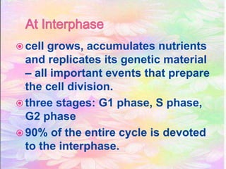  cell grows, accumulates nutrients
and replicates its genetic material
– all important events that prepare
the cell division.
three stages: G1 phase, S phase,
G2 phase
90% of the entire cycle is devoted
to the interphase.